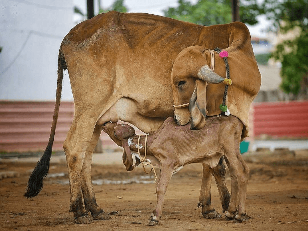 A family sharing a meal together